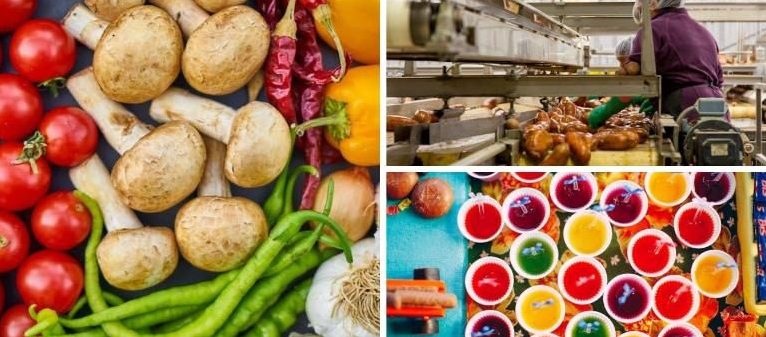 Food Factories as an Alternative Industrial Asset Class